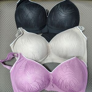 Women's Set Of Three Bras NWT Size 34C